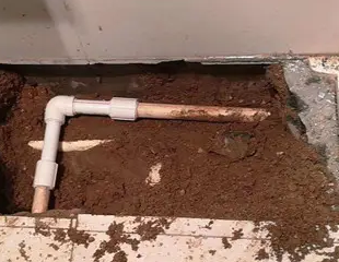 库伦测漏水哪家好