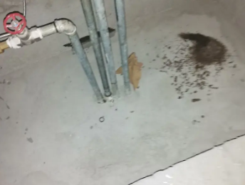 库伦卫生间测漏水价格明细